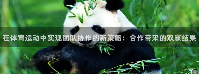 xc体育：在体育运动中实现团队协作的新策略：合作带来的双赢结果