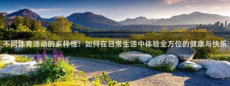 xc体育：不同体育活动的多样性：如何在日常生活中体验全方位的健康与快乐